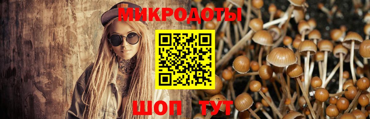 Галлюциногенные грибы прущие грибы Ялуторовск